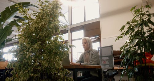 有关伸展, 创新, 办公空间的免费素材视频