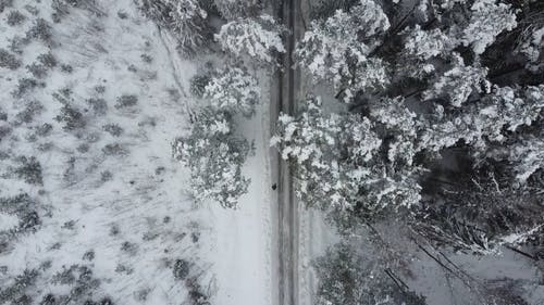 有关下雪的天气, 冬季, 冰的免费素材视频