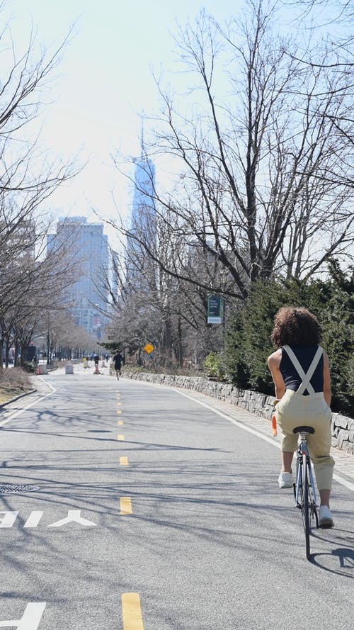有关下落, 公园, 分支机构的免费素材视频