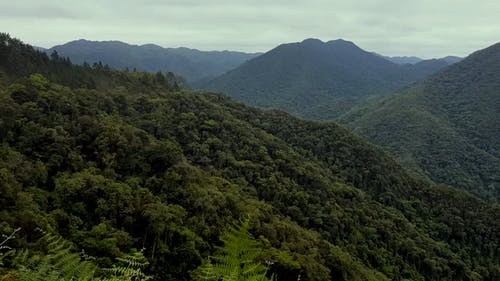 有关云林, 大自然, 山的免费素材视频