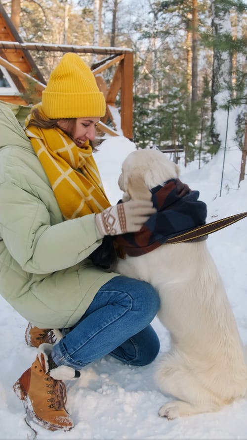 有关冬季, 冬衣, 冷的免费素材视频
