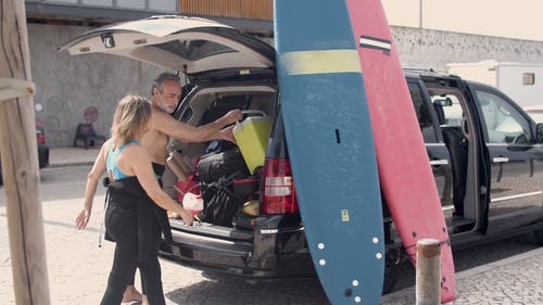 有关事情, 停, 树干的免费素材视频