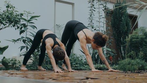 有关主动穿着, 休闲活动, 伸展的免费素材视频