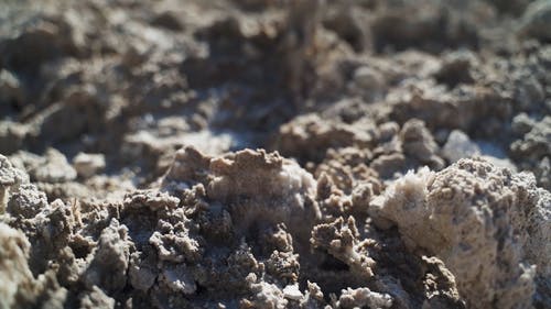 有关土, 地面, 夏天的免费素材视频