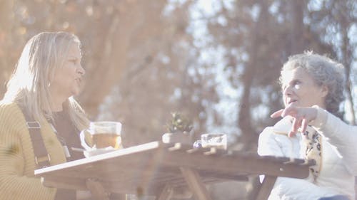 有关休闲活动, 公园, 咖啡的免费素材视频