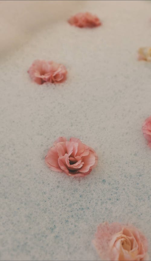 有关休息, 垂直视频, 宠的免费素材视频