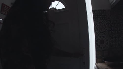 有关包, 在线订购, 女人的免费素材视频