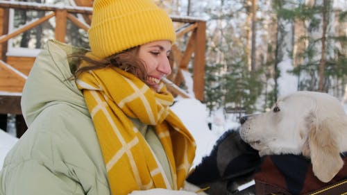 有关一对, 冬季, 冷的免费素材视频