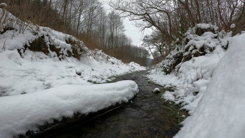 有关冬季景观, 天性, 户外的免费素材视频