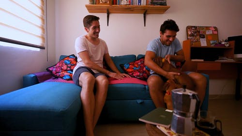 有关动物, 可爱, 同志文化的免费素材视频