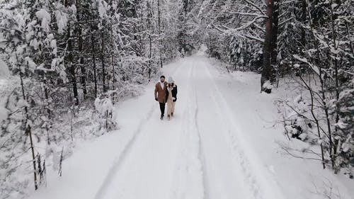 有关一对, 下雪的, 冬季的免费素材视频