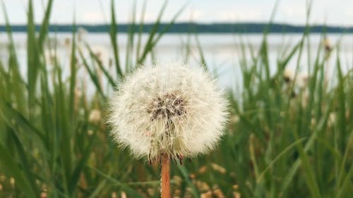 有关天性, 工厂, 景深的免费素材视频