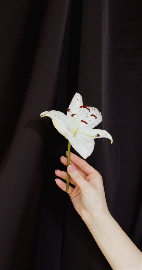 有关人, 垂直视频, 布的免费素材视频