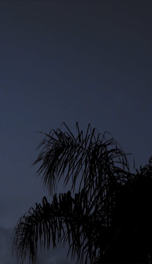 有关人, 垂直, 墨镜的免费素材视频