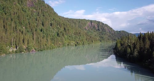 有关天性, 水体, 湖的免费素材视频