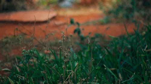 有关一对, 一起, 人的免费素材视频