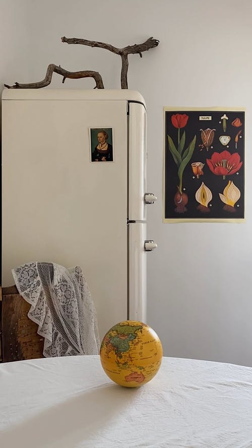 有关冰箱, 分公司, 原本的免费素材视频