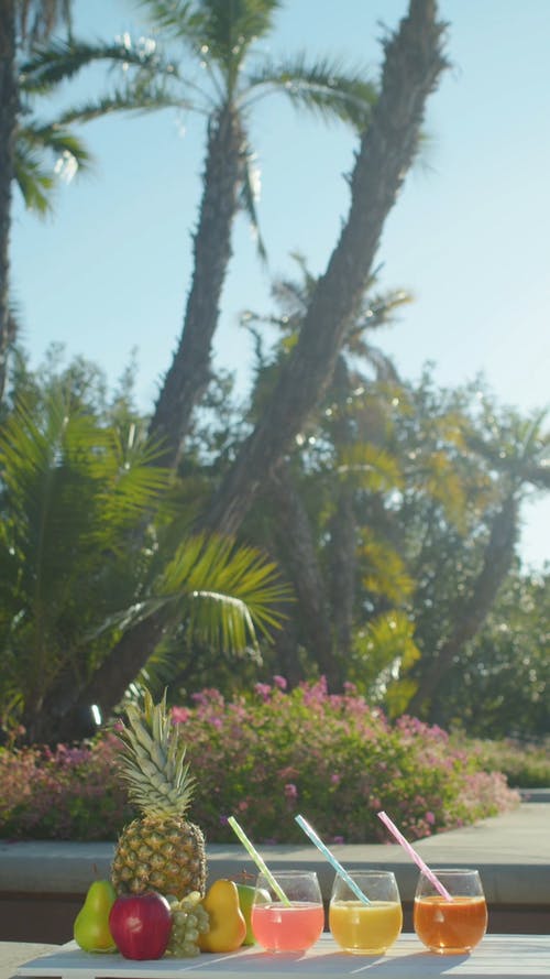 有关@户外, 假日, 假期的免费素材视频