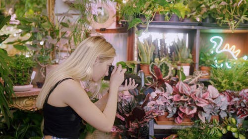 有关女人, 室内植物, 摄影师的免费素材视频