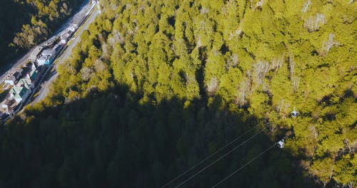 有关交通系统, 树木, 空中镜头的免费素材视频