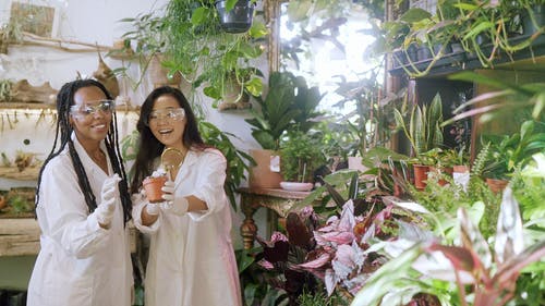 有关仙人掌, 多样化, 多民族的免费素材视频