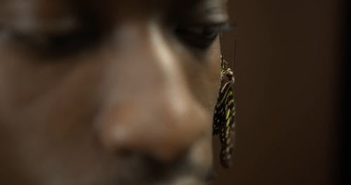 有关人, 半裸, 成人的免费素材视频