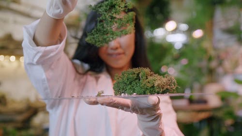 有关园丁, 女人, 手套的免费素材视频