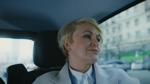 有关企业, 后座, 坐的免费素材视频