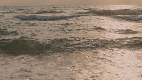 有关天性, 户外, 招手的免费素材视频