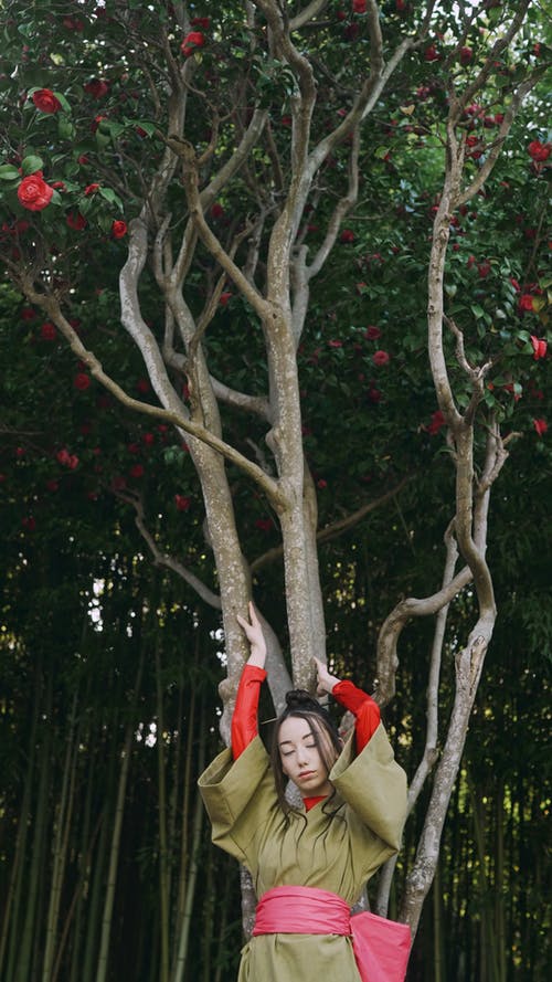 有关@户外, 中景, 个性的免费素材视频