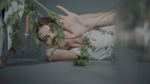 有关凝视, 前景, 创作的的免费素材视频