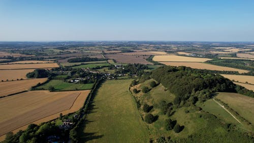 有关农村的场景, 地平线, 增长的免费素材视频