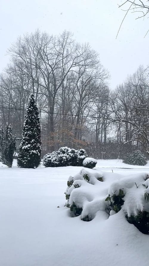 有关下雪, 下雪的, 冬季的免费素材视频