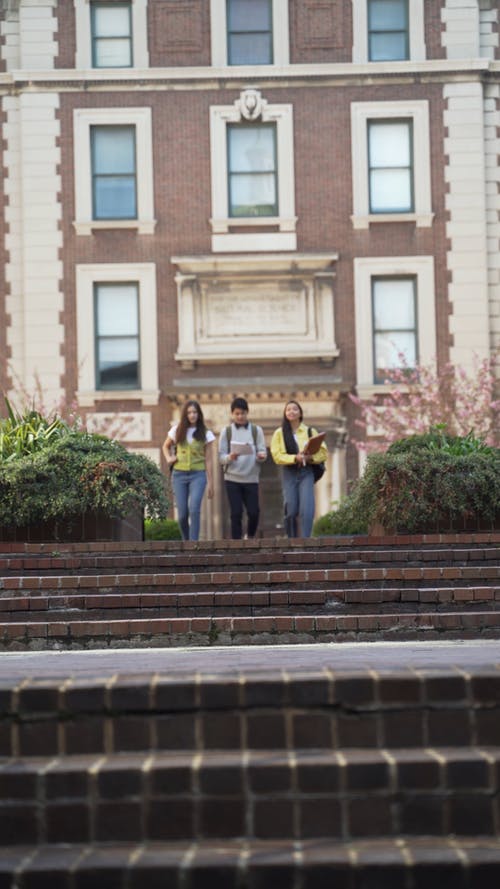 有关垂直视频, 大学, 学校的免费素材视频