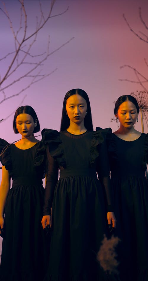 有关三, 低角度, 垂直视频的免费素材视频