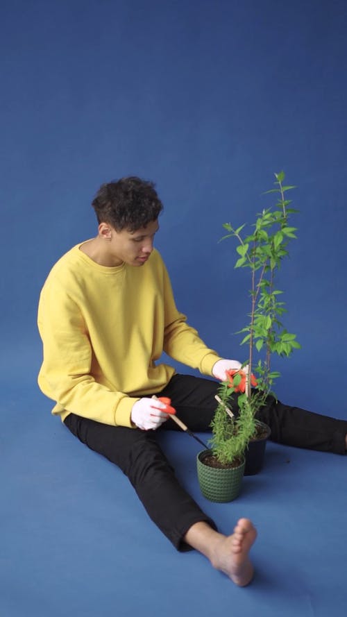 有关土, 垂直视频, 培育的免费素材视频