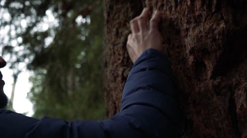 有关发现, 天性, 夹克的免费素材视频