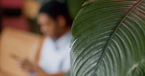 有关3C用品, 人, 在家的免费素材视频