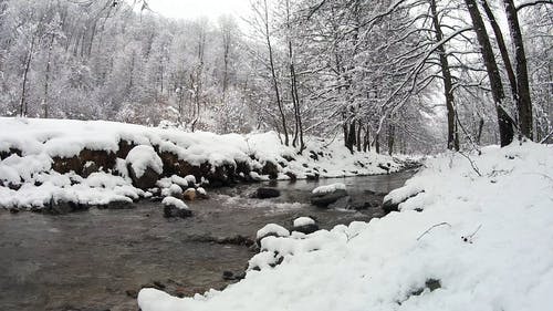 有关下雪, 冬季, 冻结的的免费素材视频