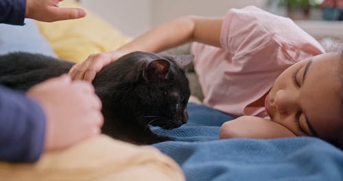 有关儿童玩具, 儿童, 公寓的免费素材视频