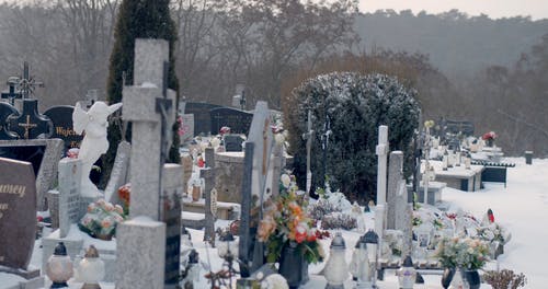 有关下雪的, 冬季, 冷的免费素材视频