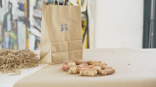有关包装, 狗, 礼品的免费素材视频