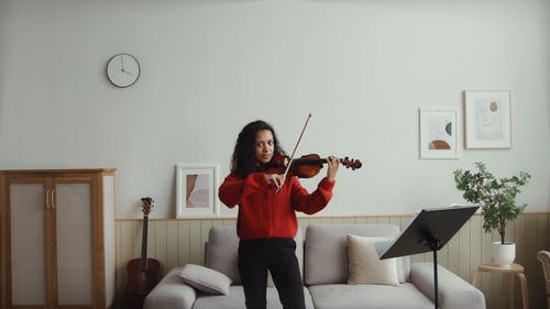 有关原声吉他, 天赋, 客厅的免费素材视频