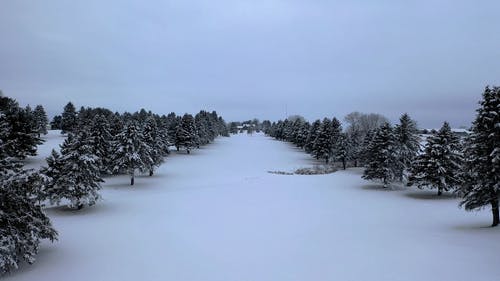 有关@户外, 下雪的, 下雪的天气的免费素材视频