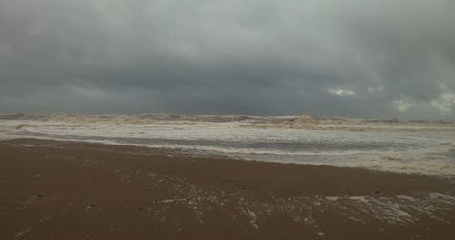 有关到达, 天性, 岸边的免费素材视频