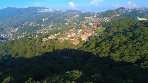 有关4k分辨率, 4k视频, rypto牛的免费素材视频