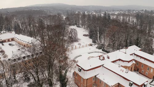 有关下雪的, 公园, 冬季的免费素材视频