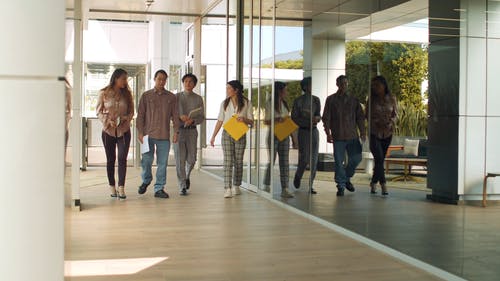 有关事业, 团队合作, 女性的免费素材视频