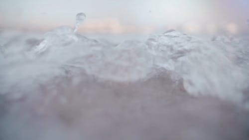 有关天性, 户外, 招手的免费素材视频