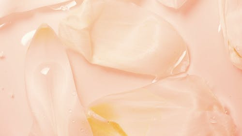 有关乳液, 优雅, 光滑的免费素材视频